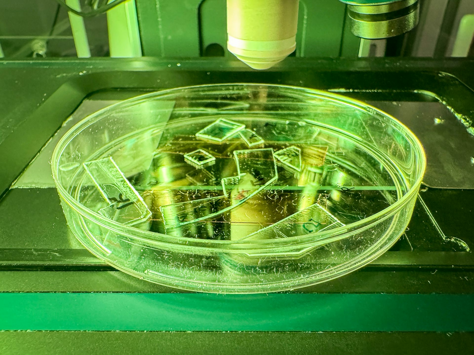 New plastic film covered in thousands of tiny pillars can tear apart viruses on contact