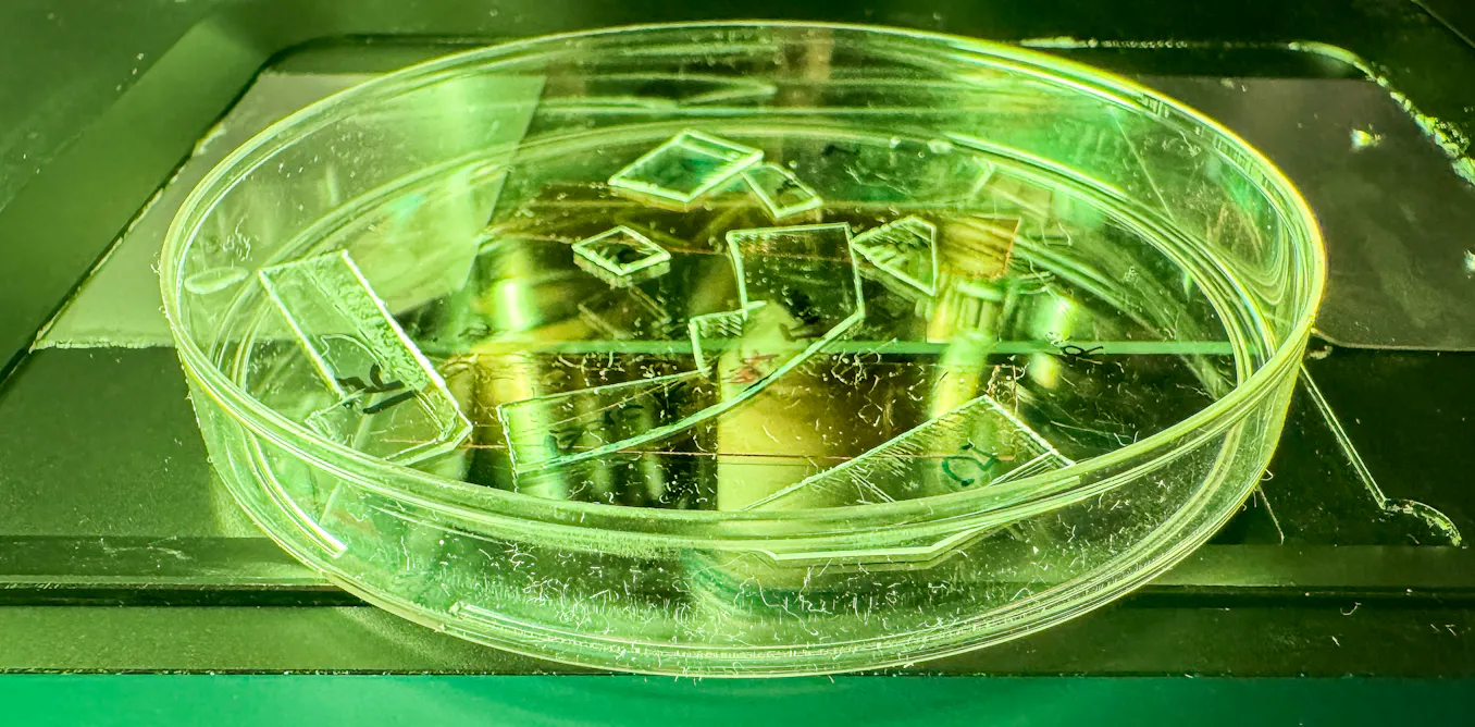 New plastic film covered in thousands of tiny pillars can tear apart viruses on contact - The Conversation