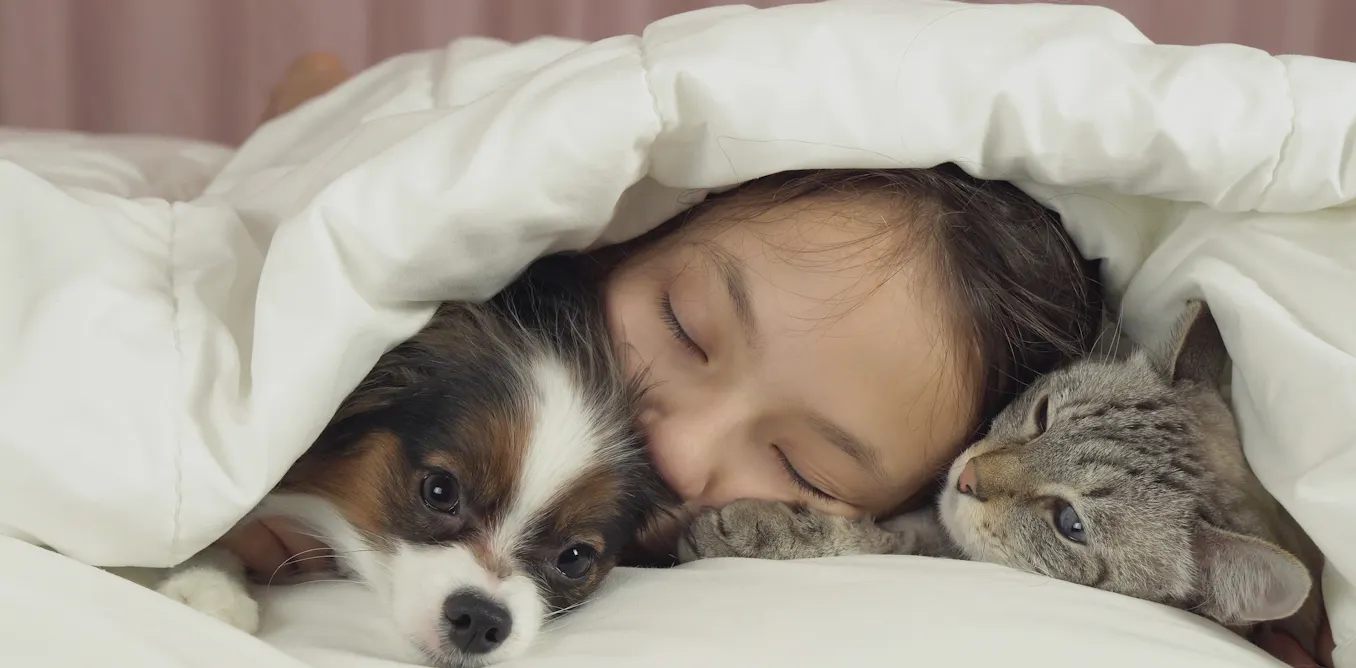 The truth about cats and dogs and the links between pet attachment and mental health The truth about cats and dogs and the links between pet attachment and mental health