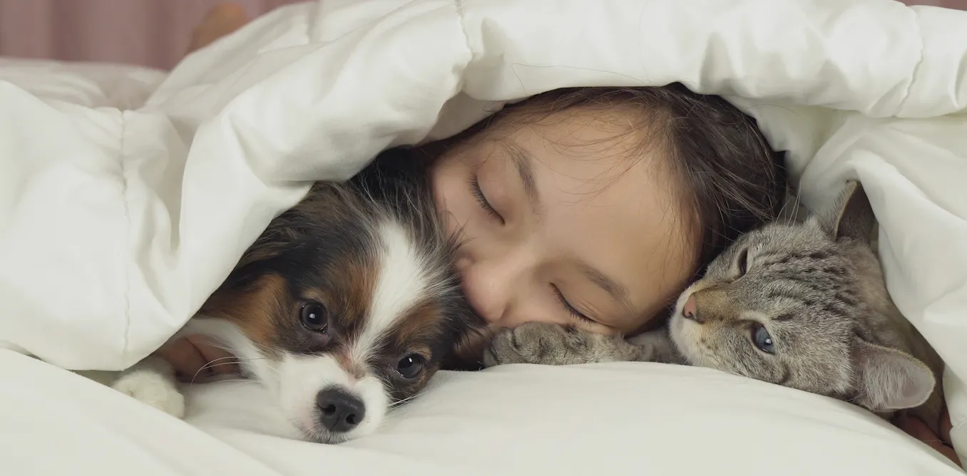 The truth about cats and dogs and the links between pet attachment and mental health The truth about cats and dogs and the links between pet attachment and mental health