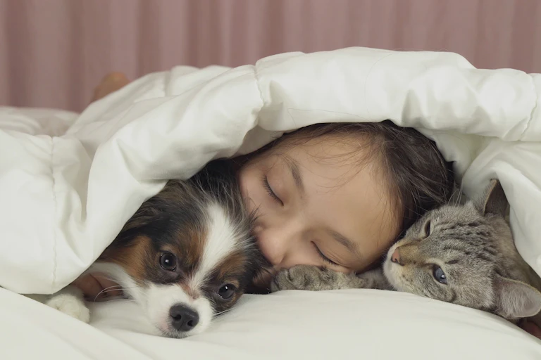 A little girl is snuggled up with a cat and dog underneath a blanket.