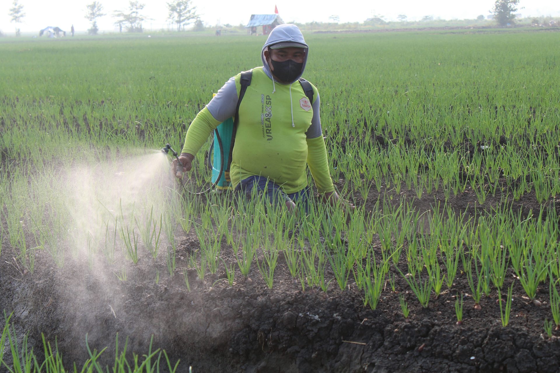 A farm worker spraying pesticides on a crop.