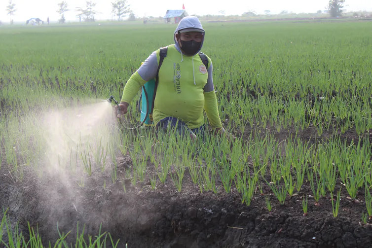 A farm worker spraying pesticides on a crop.