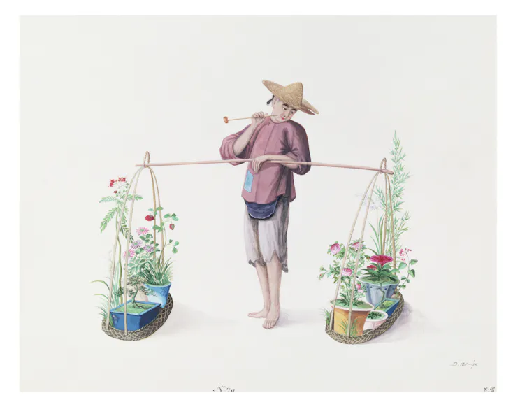 Painting of a man carrying plants