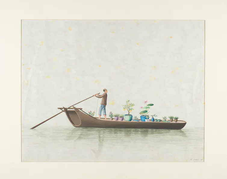 Painting of a river boat carrying brightly coloured plant pots with flowers and foliage