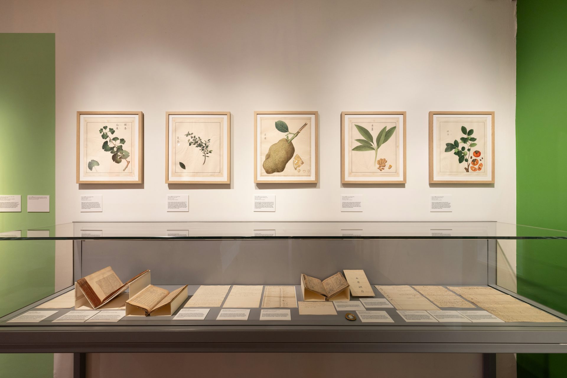 The paintings and documents on display at the Garden Museum.