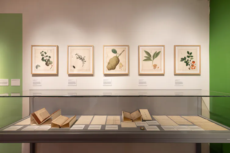 The paintings and documents on display at the Garden Museum.