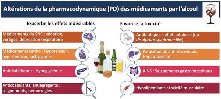 Illustration des classes de médicaments dont la pharmacodynamique est affectée par l'alcool.