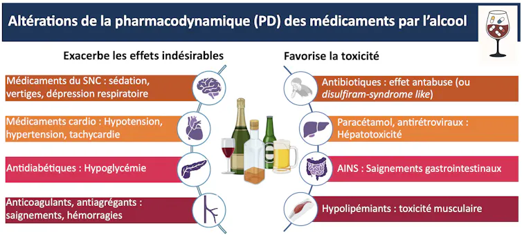 Illustration des classes de médicaments dont la pharmacodynamique est affectée par l'alcool.
