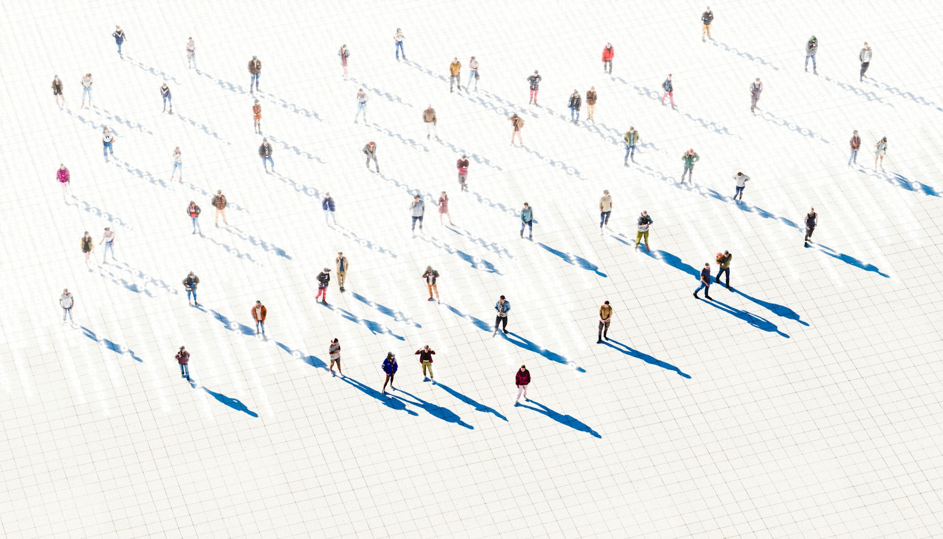 The NZ Census guided vital economic and social planning. What happens now it&rsquo;s gone?