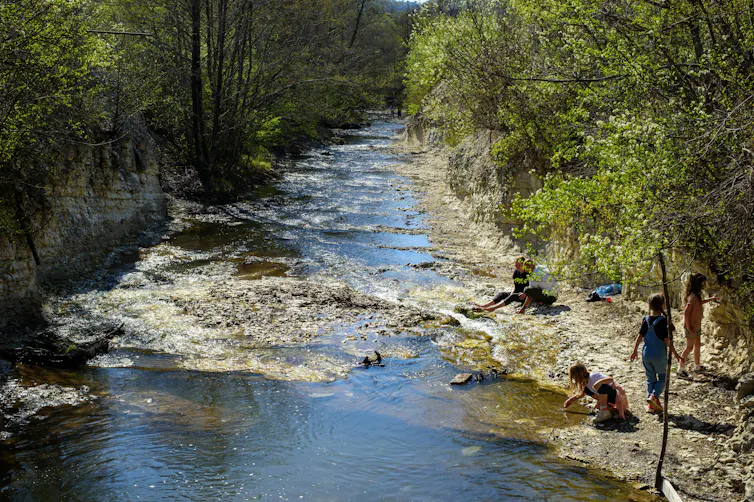 Children play near a forest stream