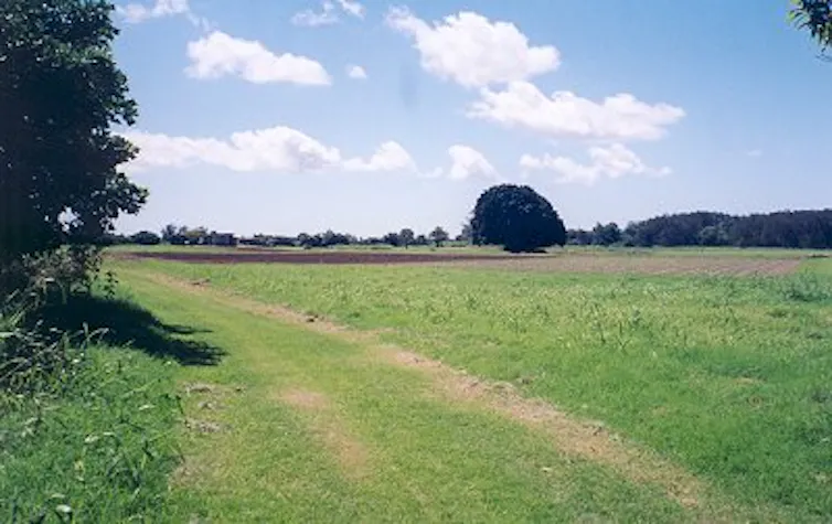 a green space