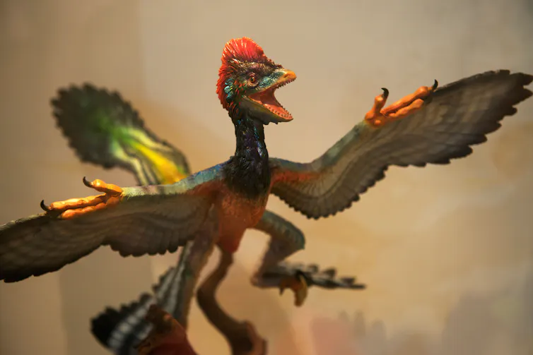 Restored model of an _Anchiornis_.