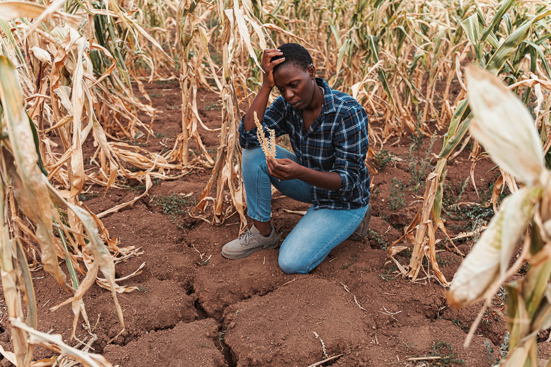 Extreme heat is a growing threat to health, jobs and food security in southern Africa – study looks for practical solutions