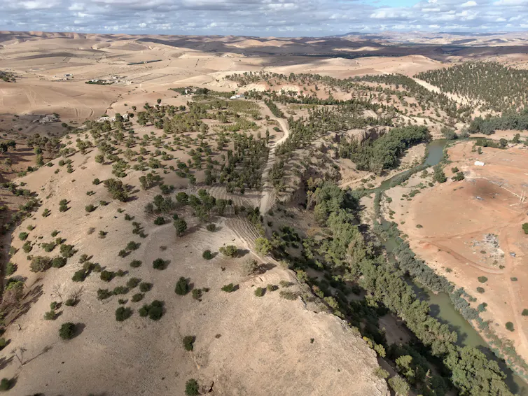 Aerial photograph of a green ridge with trees, earth and sky in the distance.