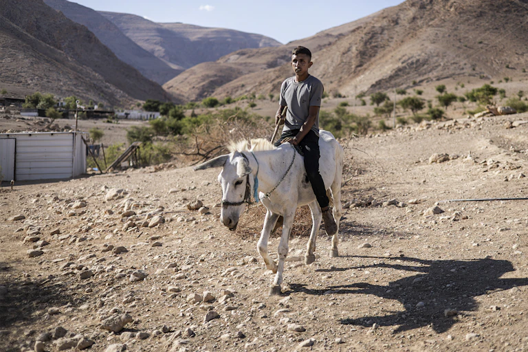 A man sits on a white donkey.