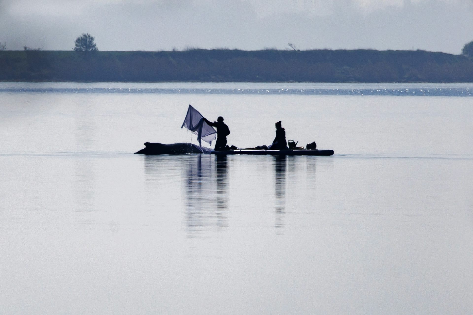 Whale strandings draw emotional responses. But repeated rescues can cause more harm