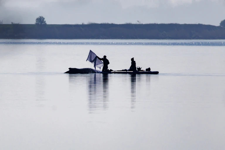 A rescuer uses a paddle to place wet towels over a stranded humpback whale off the island of Poel during efforts to save it on April 17, 2026.