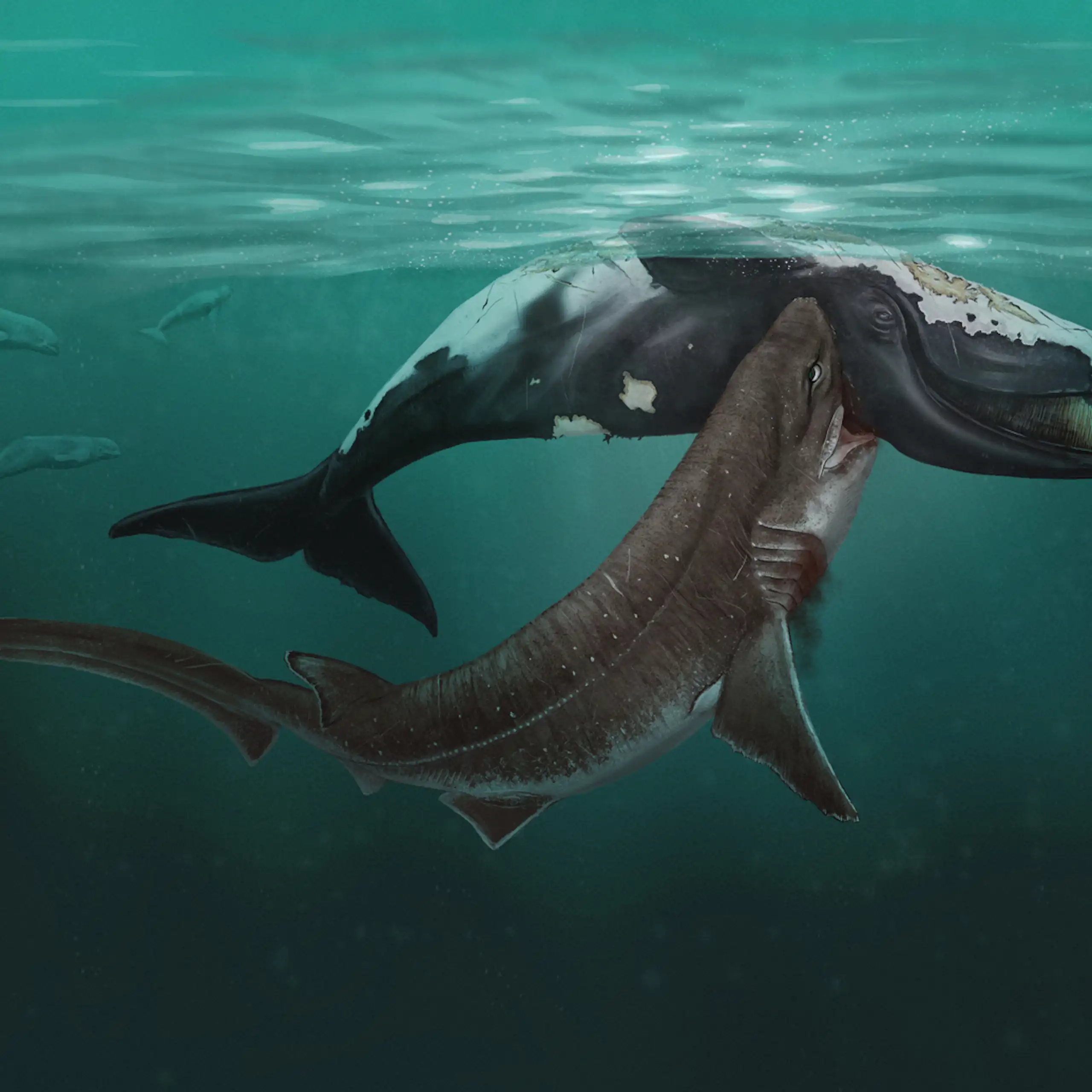 Painting of a shark biting into an upside down whale carcass