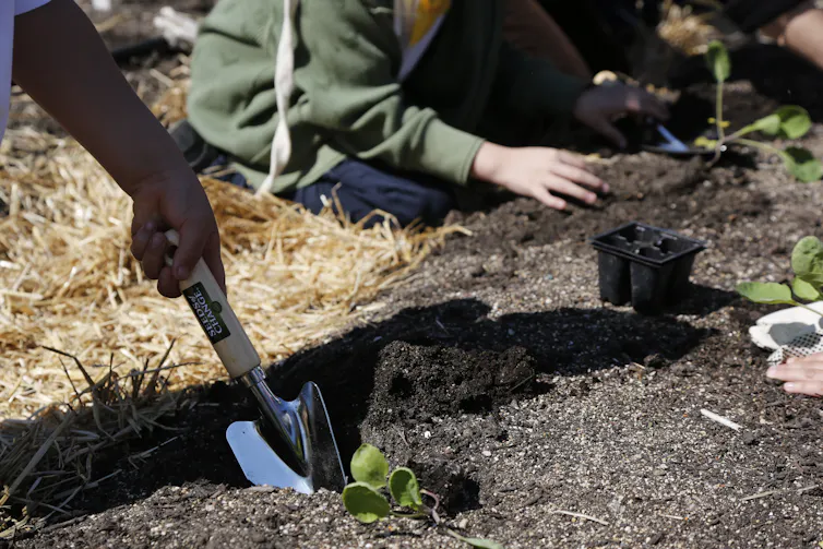 Students digging in a garden and planting, one using a trowel.