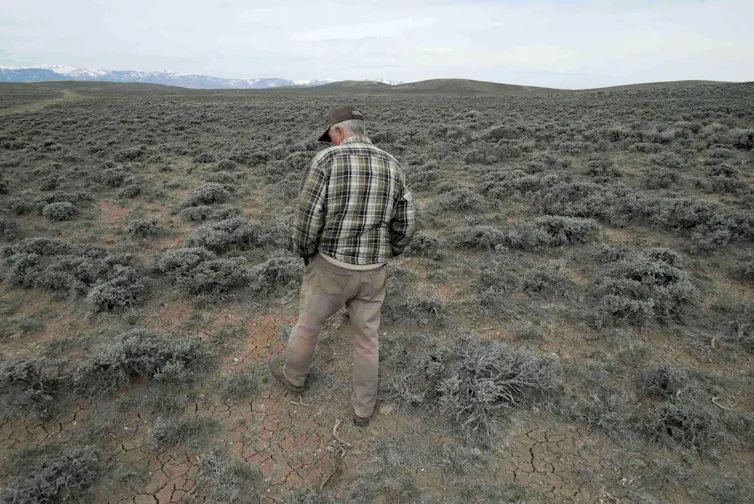 A man walks through a dry landscape