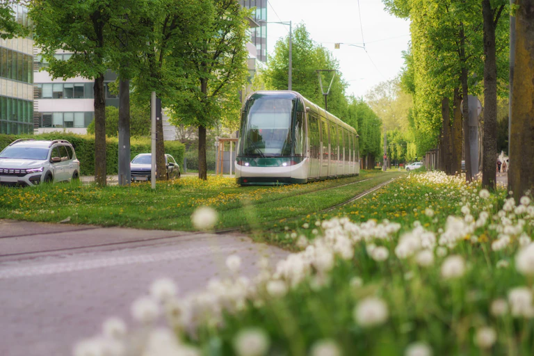 a tram running along green tram tracks next to trees and a road.