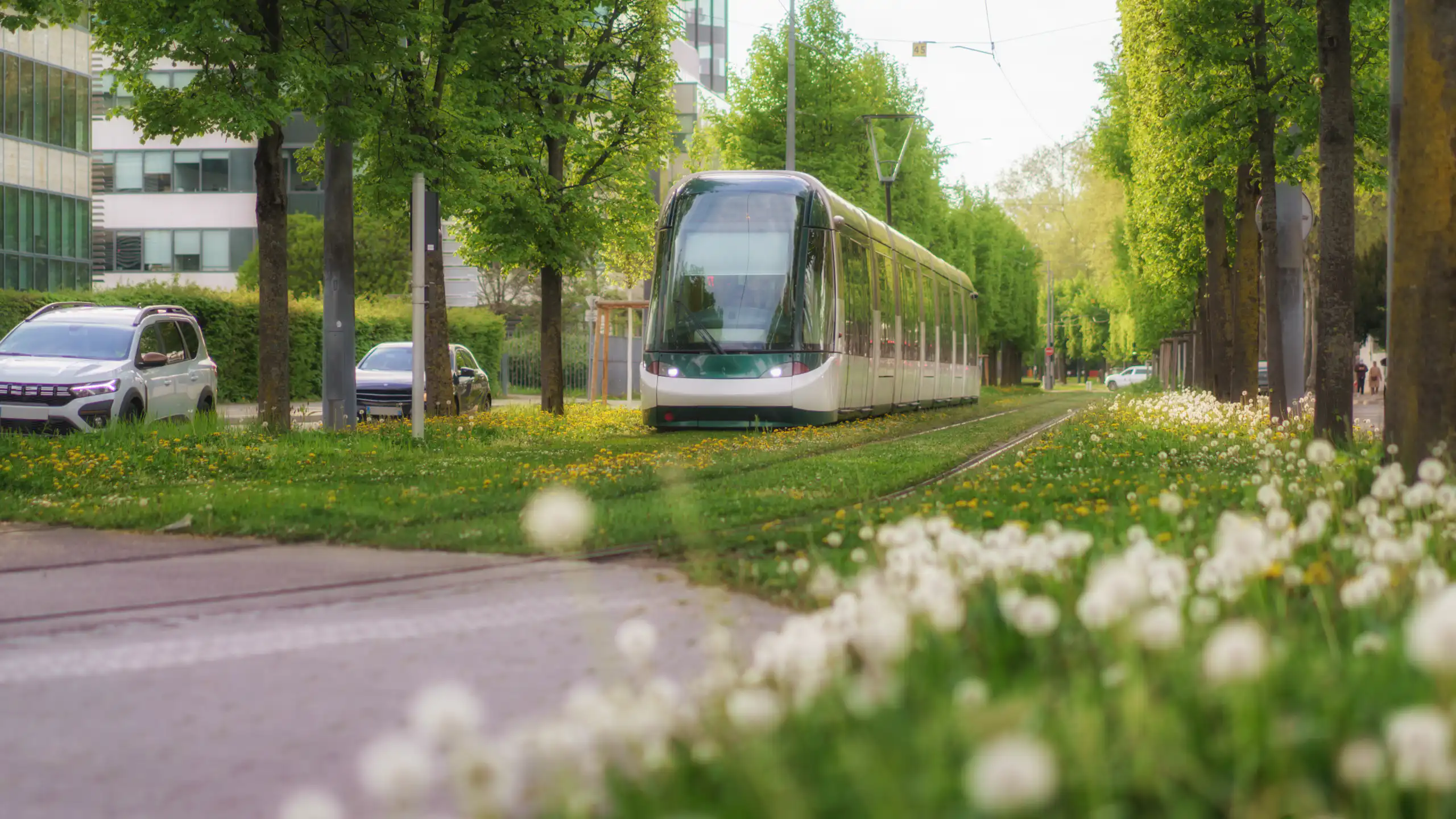 a tram running along green tram tracks next to trees and a road.
