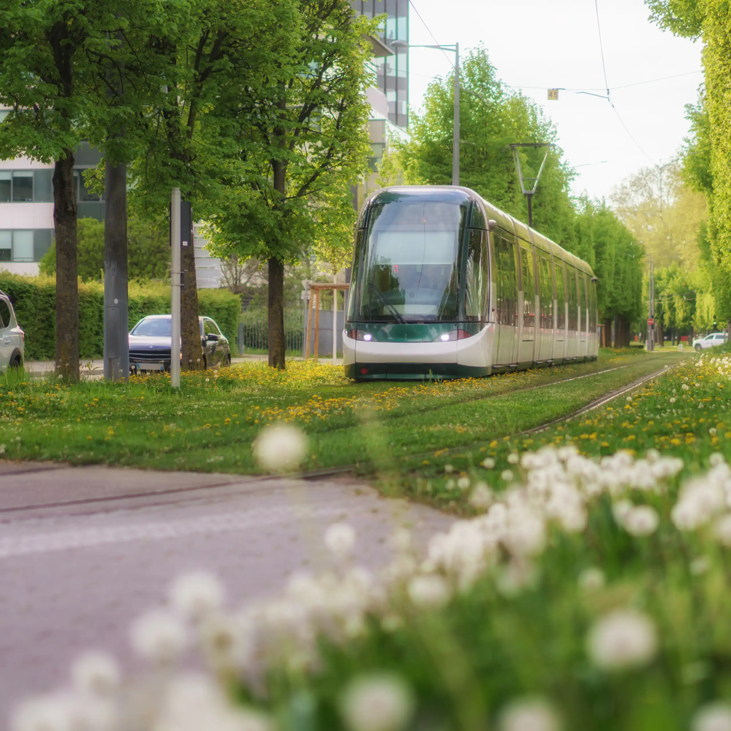 a tram running along green tram tracks next to trees and a road.