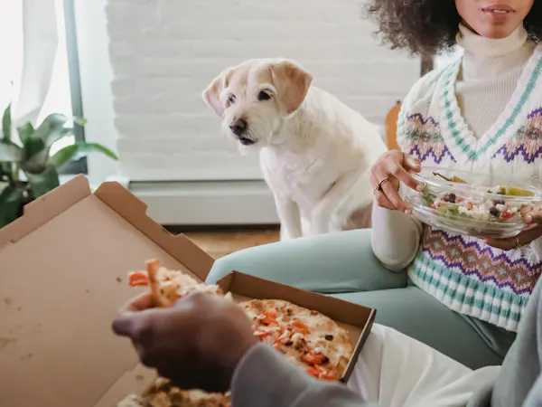 Un pequeño perro admira expectante un trozo de pizza que su dueño come en el sofá.