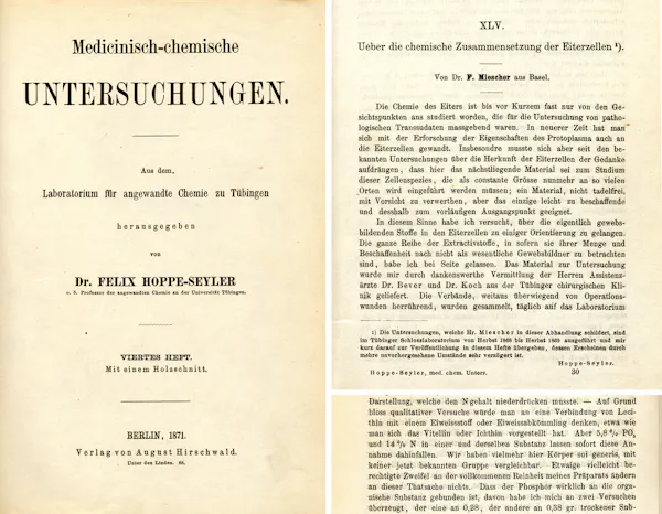 Miescher's landmark paper