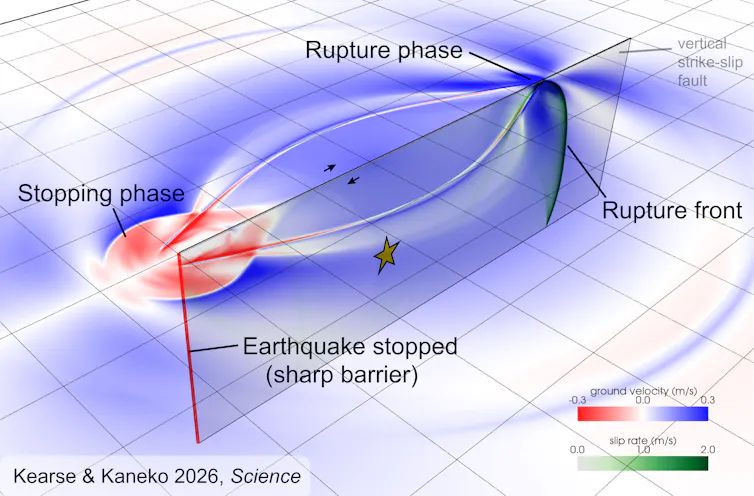 An illustration showing the stopping phase produced by the sudden arrest of a simulated large strike-slip earthquake.