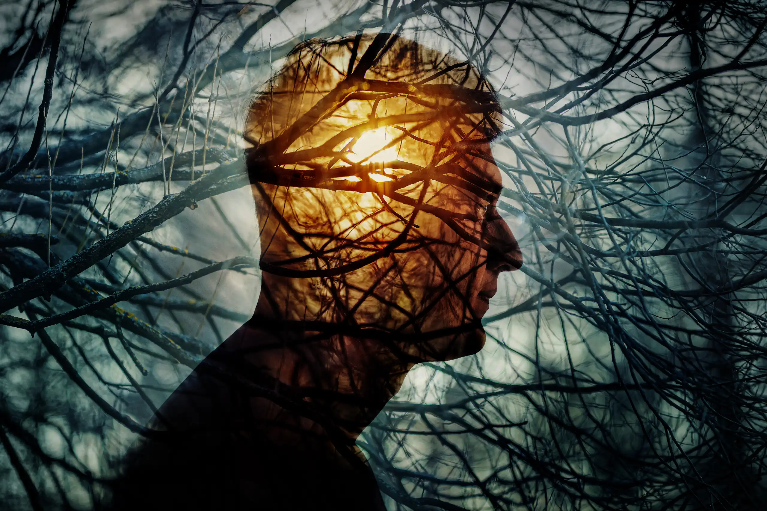 image d'une silhouette d'homme derrière des branches d'arbres.