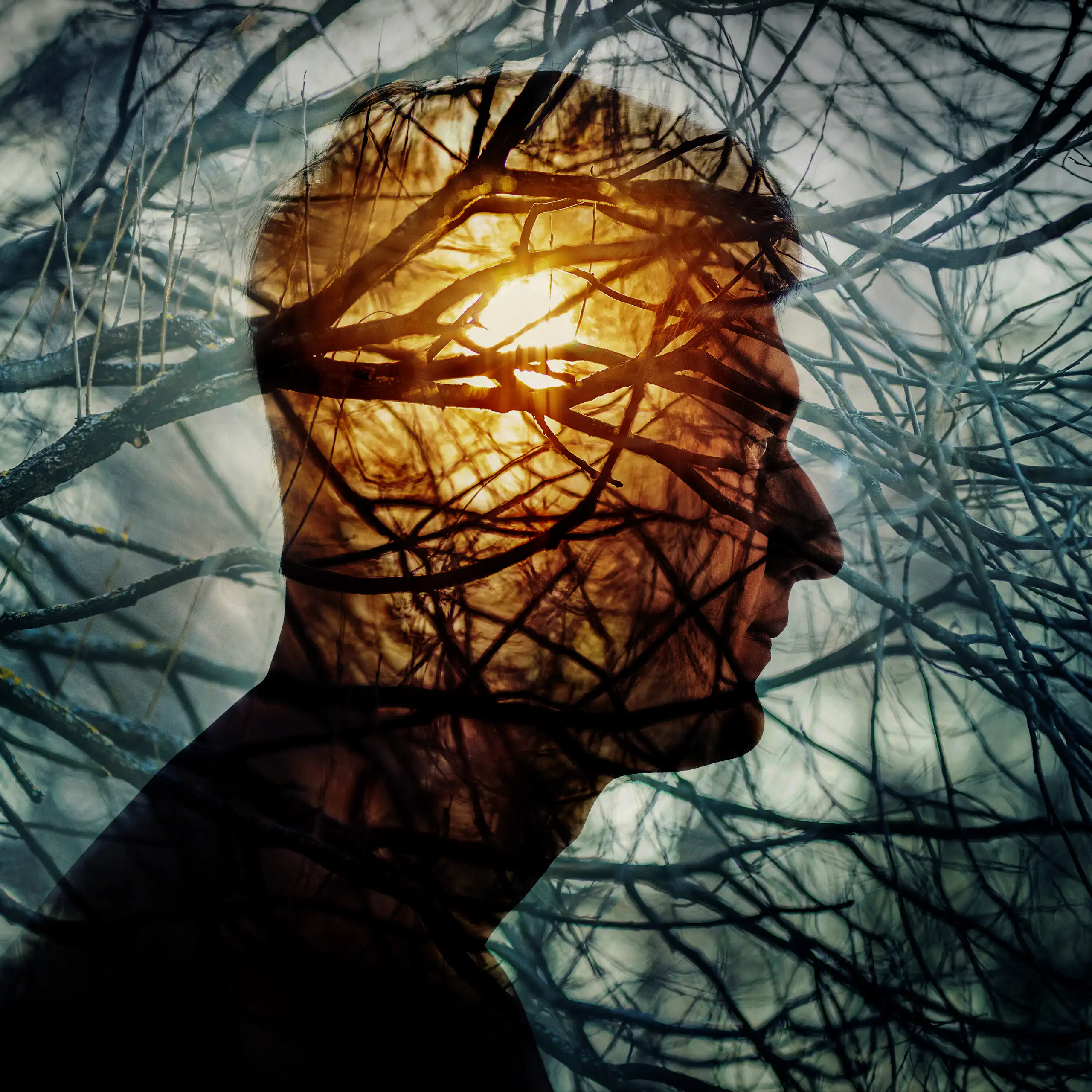 image d'une silhouette d'homme derrière des branches d'arbres.