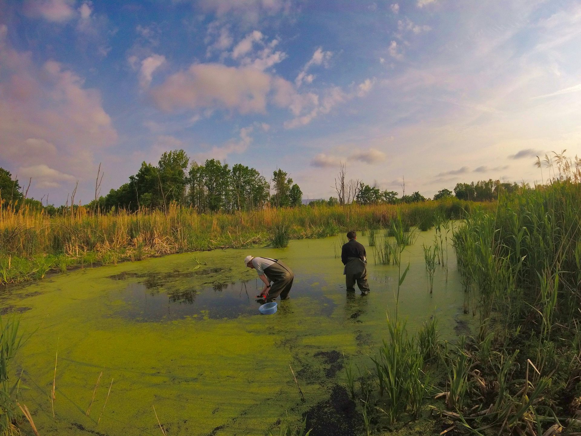 Chernobyl’s exclusion zone is a beacon of biodiversity – but it faces new threats from Russia’s invasion