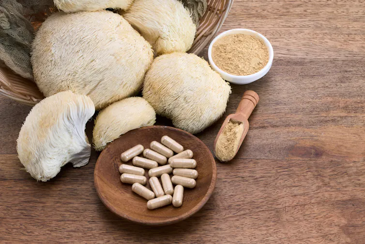 An bunch of lion's mane mushrooms arranged on a counter next to a dozen or so lion's mane mushroom supplements.