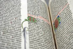 A Bible in an ancient text.