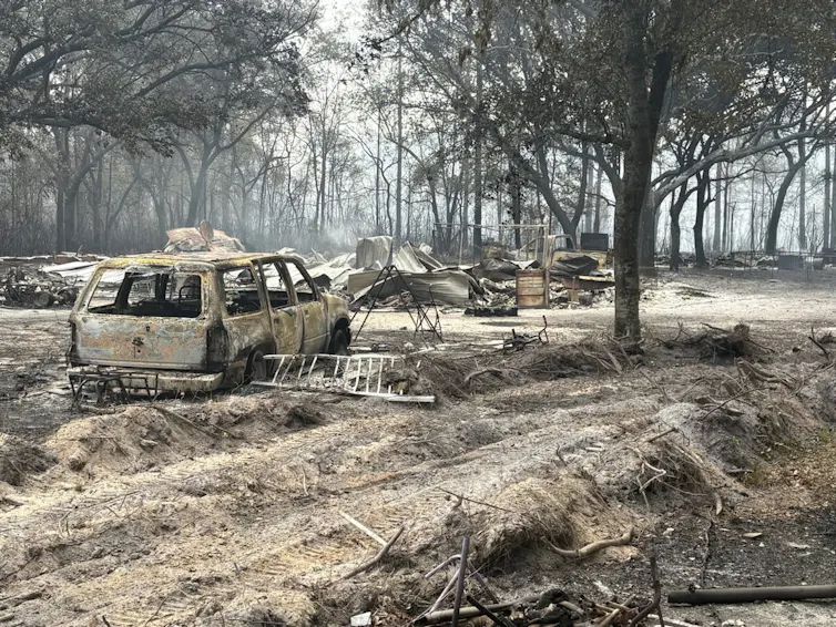 A forested area with a burned-out vehicle, burned trees and gray ash covering everything.