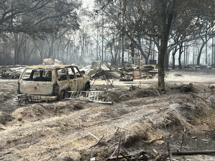 A forested area with a burned-out vehicle, burned trees and gray ash covering everything.