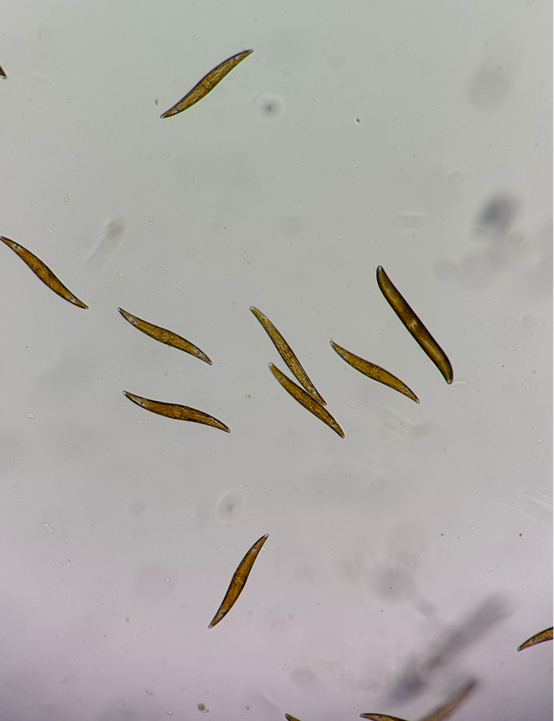 file 20260424 71 h3fx9k.png?ixlib=rb 4.1