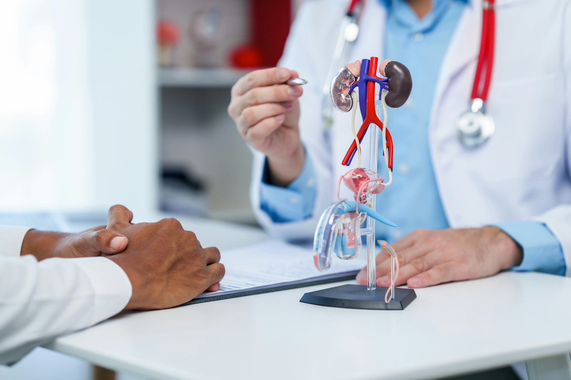 A man has a consultation with his doctor, who is pointing to a 3D diagram of the prostate and male reproductive system.