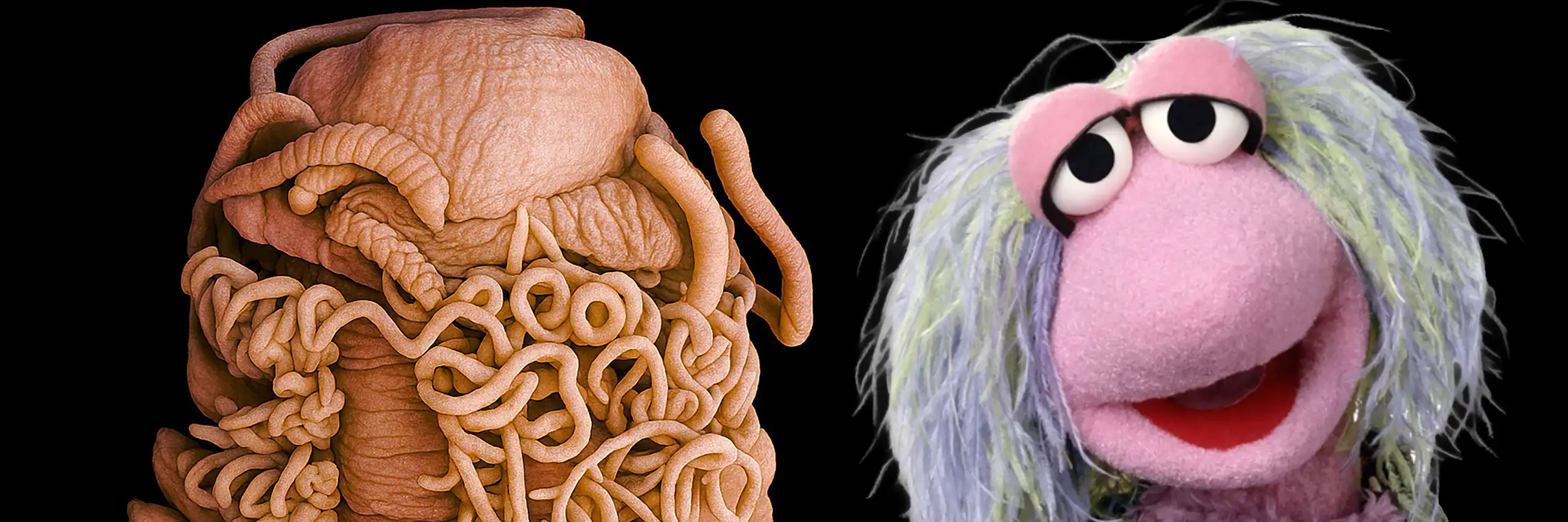 Un cuc gros i, al costat, una titella dels Fraggle.