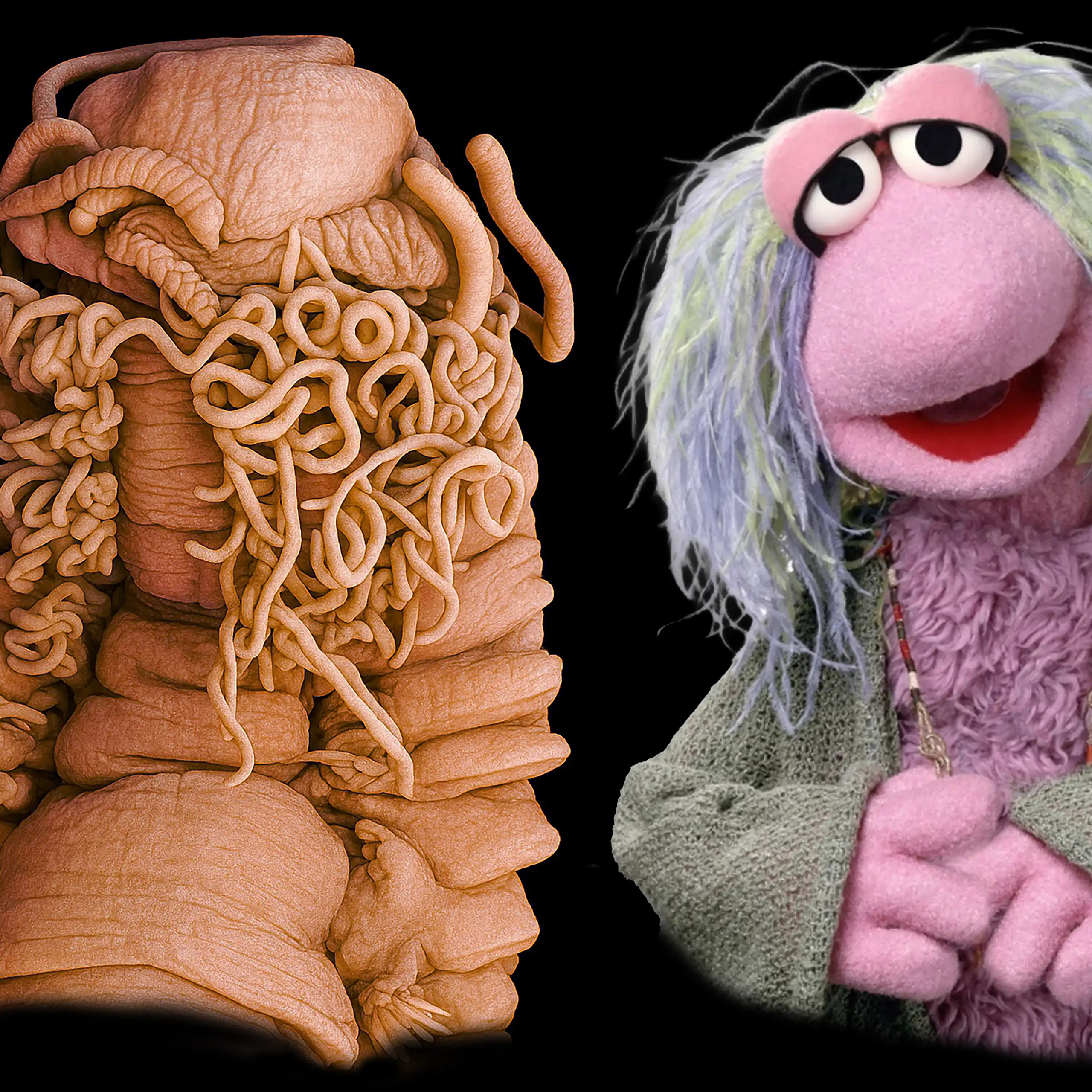 Un cuc gros i, al costat, una titella dels Fraggle.