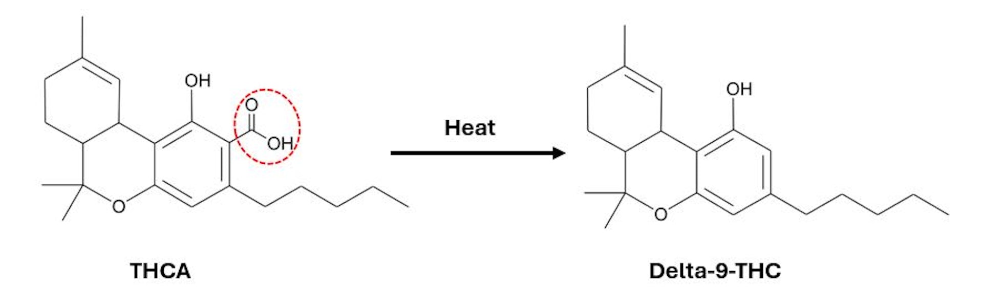 Delta-8, delta-9, THCA? What sets the different THC forms available in regulated cannabis products apart