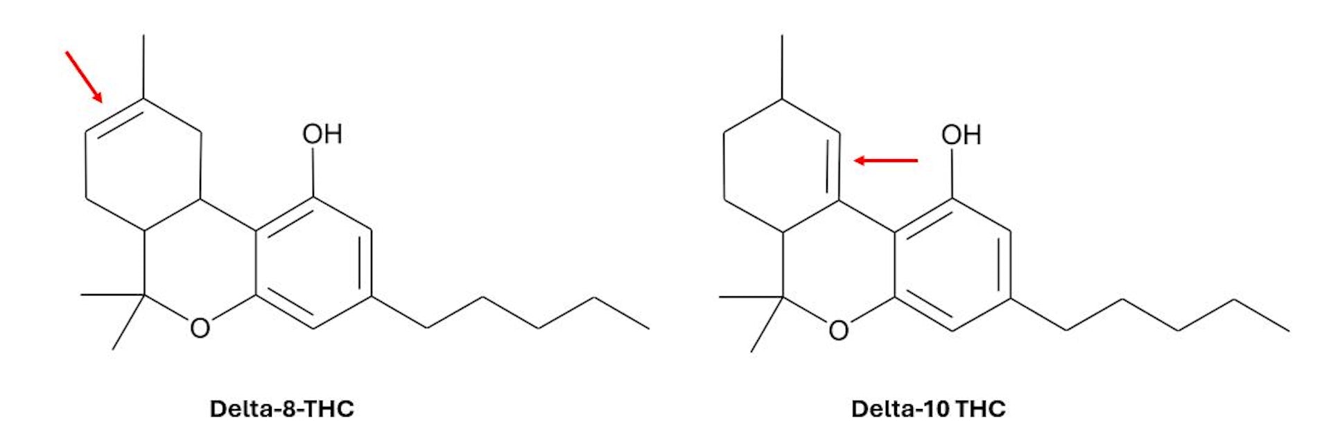 Delta-8, delta-9, THCA? What sets the different THC forms available in regulated cannabis products apart