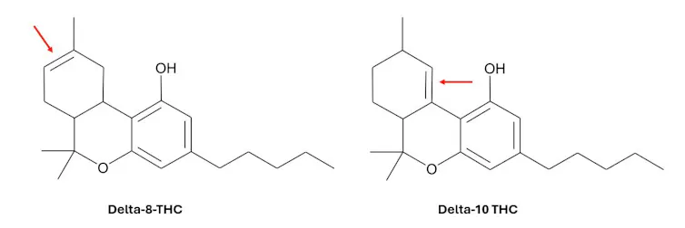 ¿Delta-8, delta-9, THCA? ¿Qué distingue las diferentes formas de THC disponibles en los productos de cannabis regulados? 1 Dos diagramas químicos muy similares. Se ven casi exactamente iguales, pero uno tiene un doble enlace presente en otra parte del anillo.