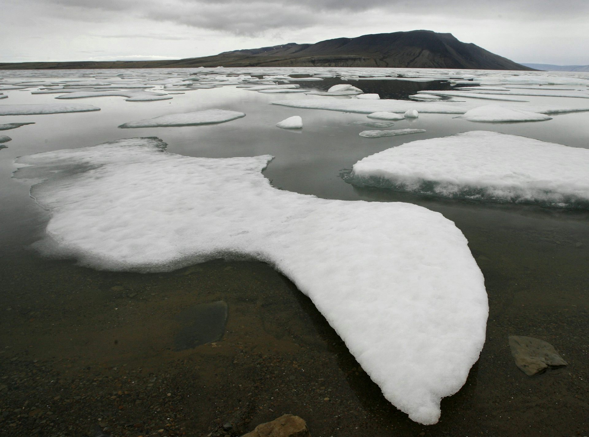 Ice floes in an Arctic body of water.