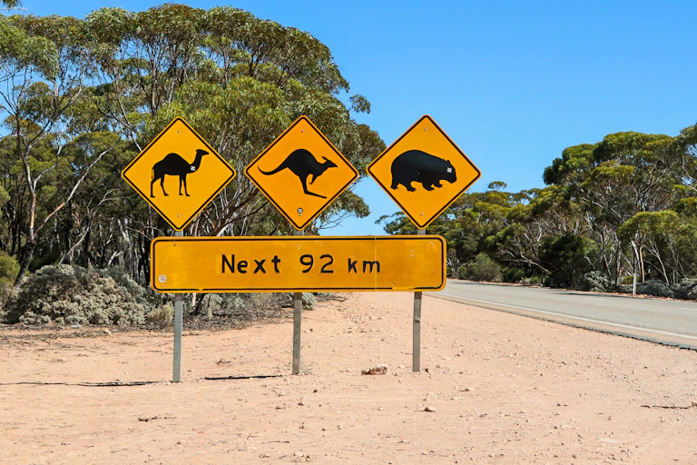 A sign on an outback road warns motorists of wildlife.