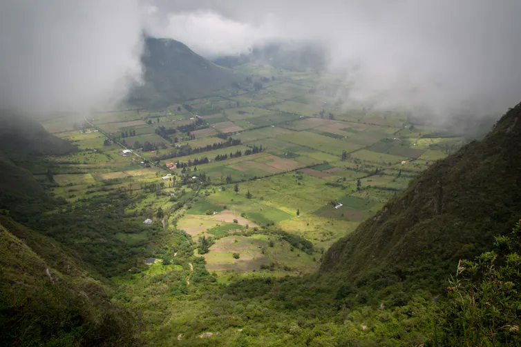 lush green fields and mountains with clouds
