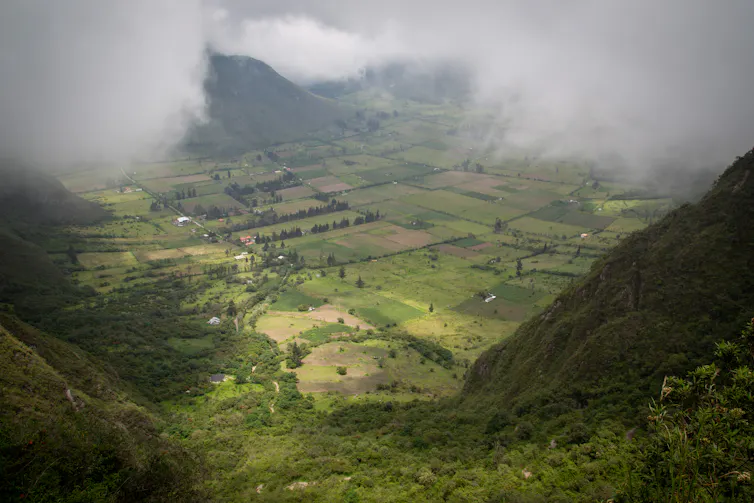 lush green fields and mountains with clouds