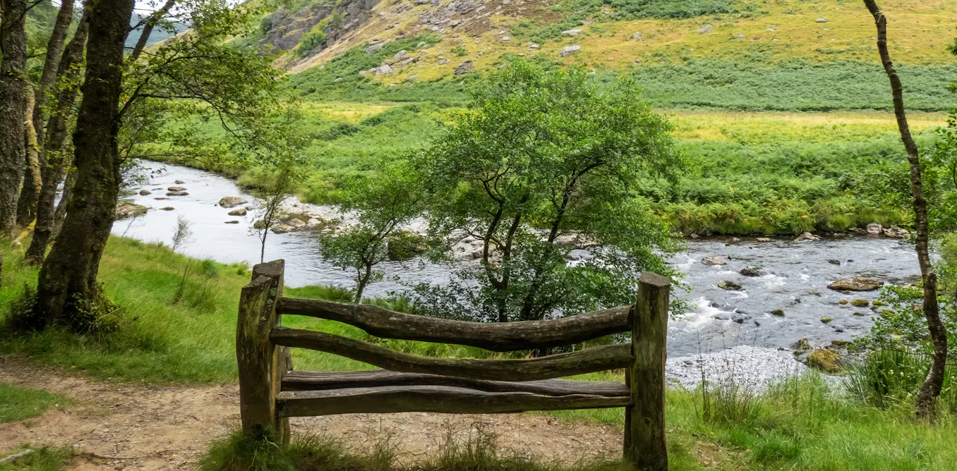 EnviroWireDaily — Nature restoration isn’t often top of the political agenda – here’s how Wales does it